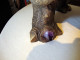 48 (Small)